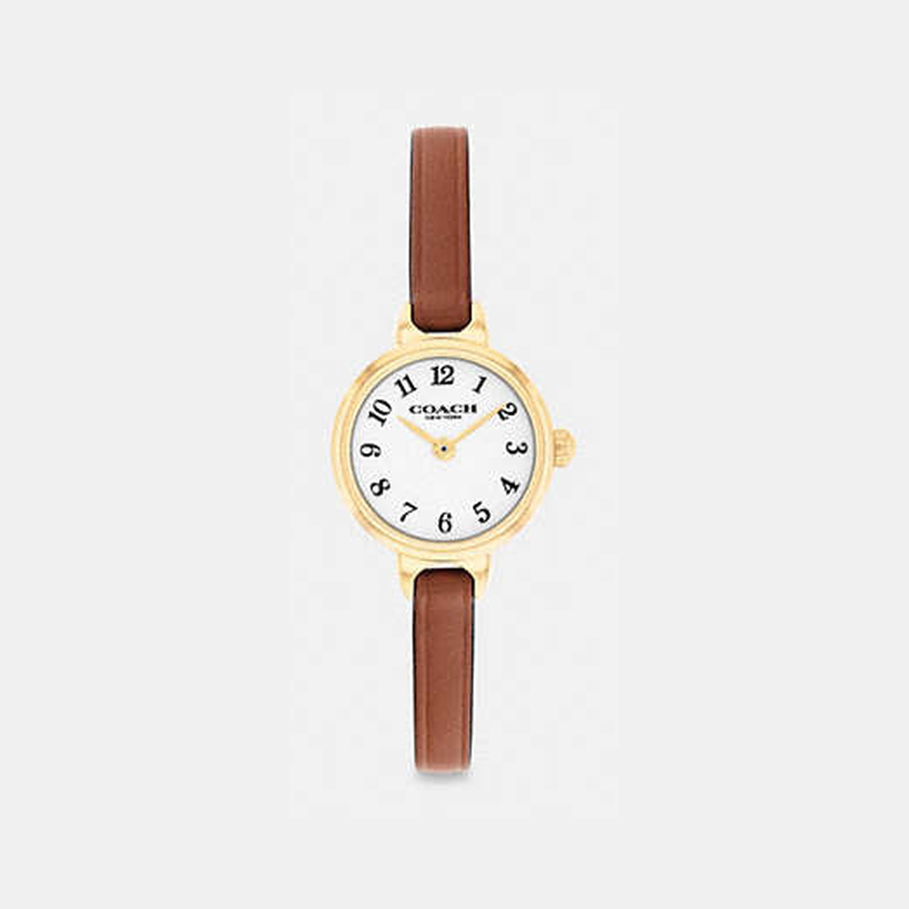 Iris Watch, 22 Mm
