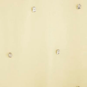 Yellow Organza Embellished Pencil Skirt