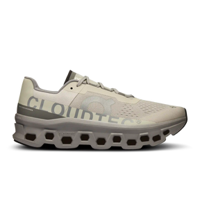 Cloud Monster Ice Alloy On Running