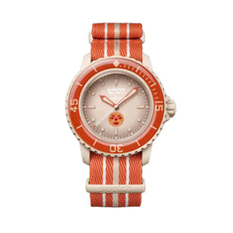 BLANCPAIN X SWATCH ARCTIC OCEAN